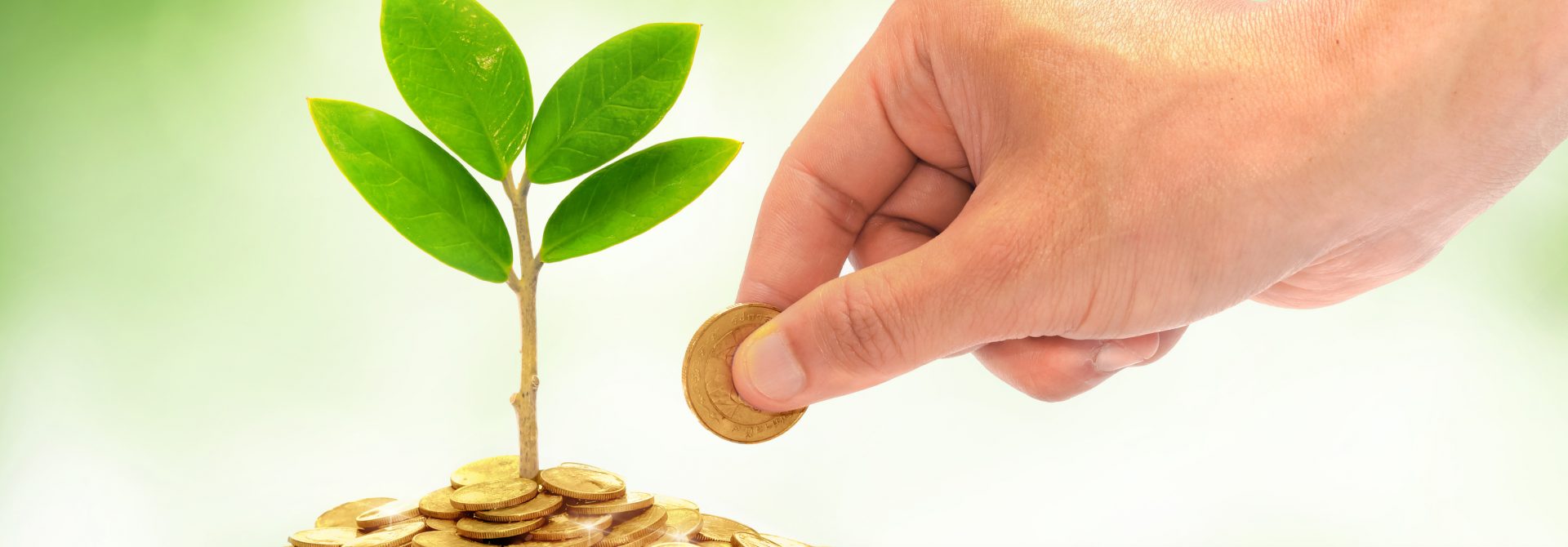 Un personne alimente une pousse de plante avec une pièce de monnaie, la terre est remplacée par des pièces de monnaie de couleur jaune