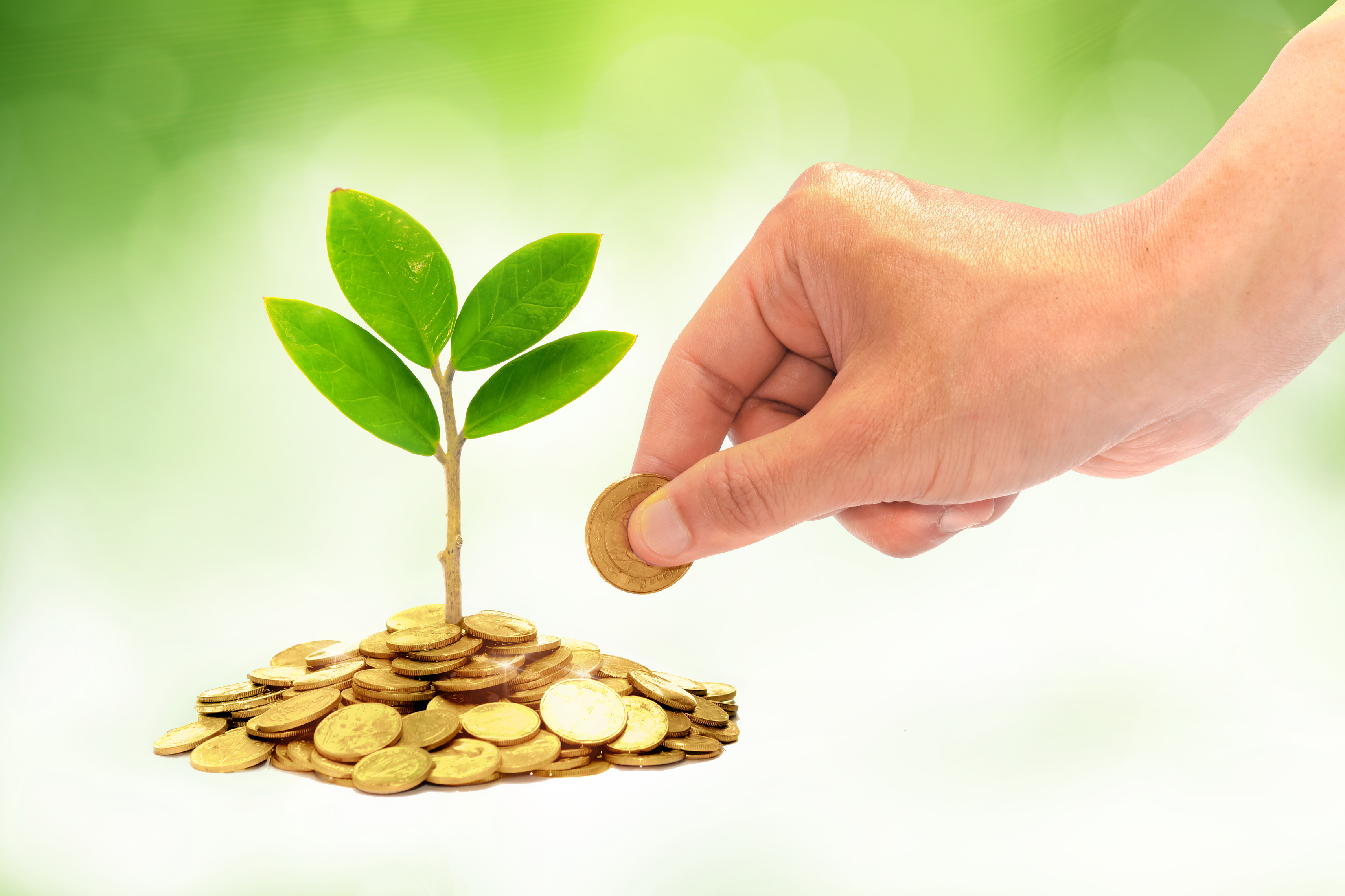 Un personne alimente une pousse de plante avec une pièce de monnaie, la terre est remplacée par des pièces de monnaie de couleur jaune