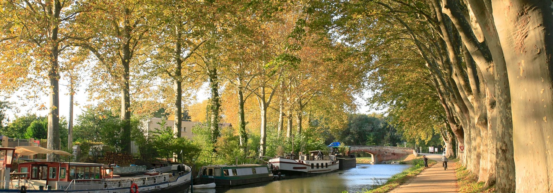 Paysage : Vue des quais du Canal du Midi, les platanes perdent leurs feuilles, il y a trois péniches sur la rive gauche