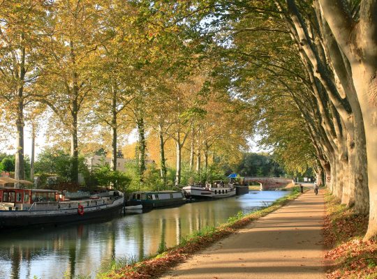 Paysage : Vue des quais du Canal du Midi, les platanes perdent leurs feuilles, il y a trois péniches sur la rive gauche