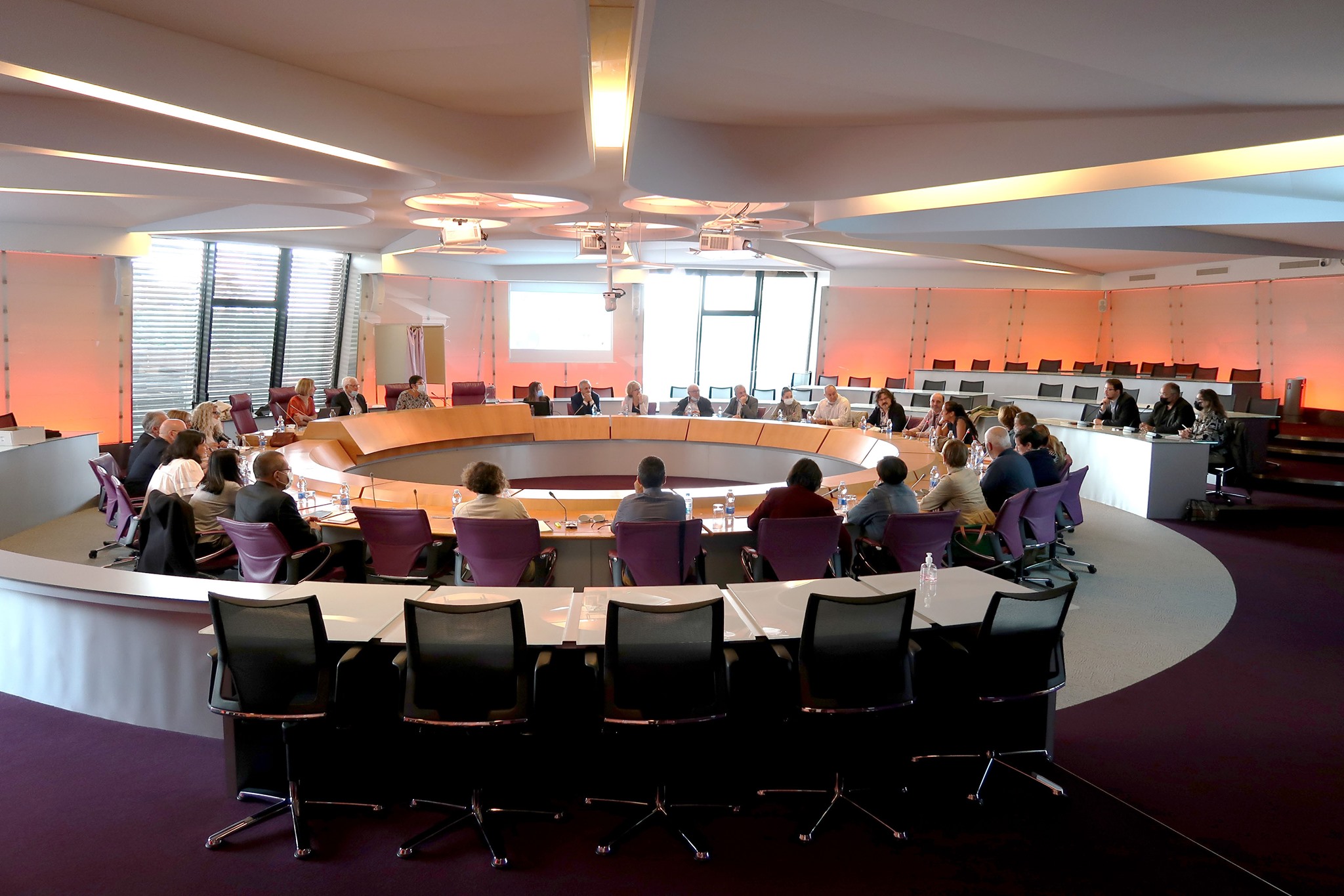 Photograhie d'une salle de réunion au sol violet : les personnes participant à la réunion forment un cercle