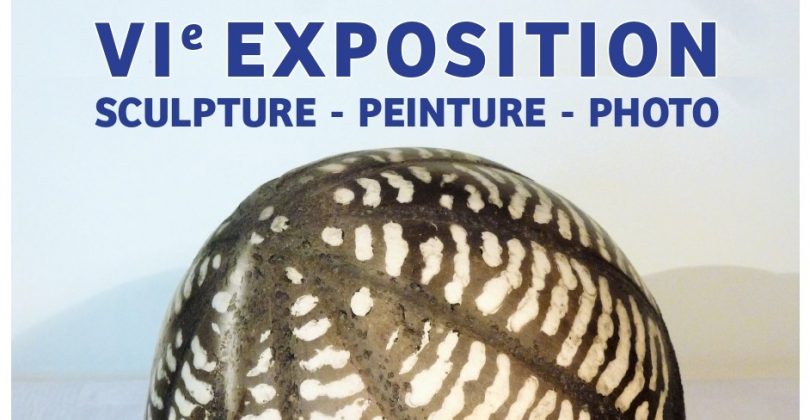 prmeier tiers de l'affiche de la VIème exposition des amis de l'Oncopole : fond bleu-gris avec une photographie d'une sculpture ovoïde