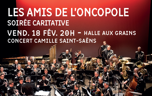 Affiche d'un concert de musique classique (la fosse avec les musiciens)
