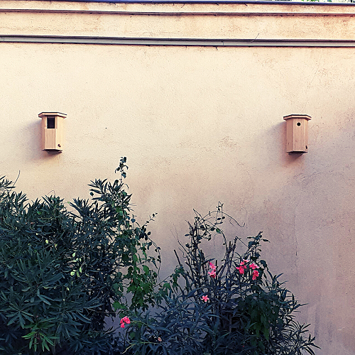 Sur un mur, deux nichoirs à oiseaux en bois
